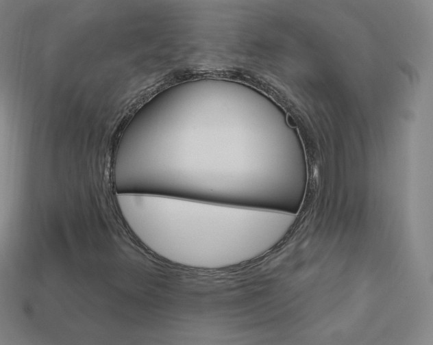 X0000114001348200910021022