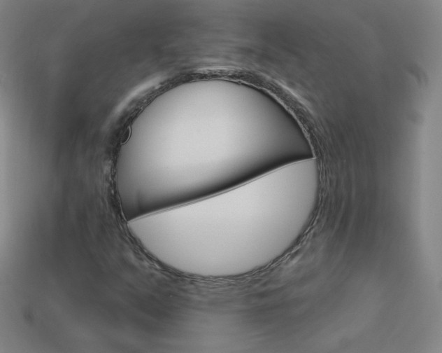 X0000114001351200910021022