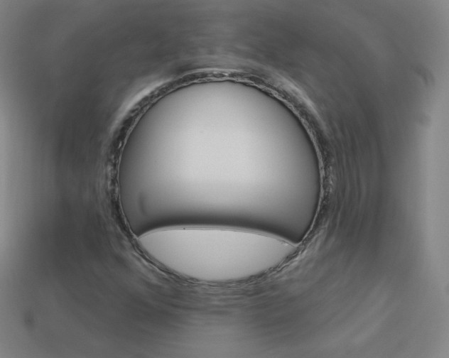 X0000114001352200910021022