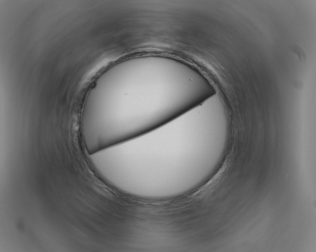 X0000114001355200910021022