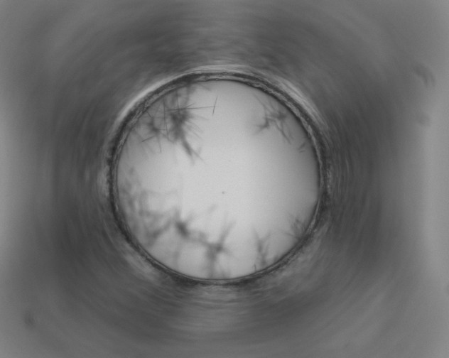 X0000114001356200910021022