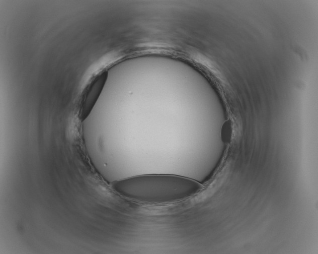X0000114001357200910021022