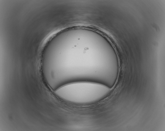 X0000114001359200910021022