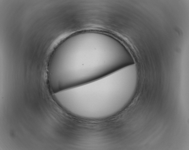 X0000114001363200910021022