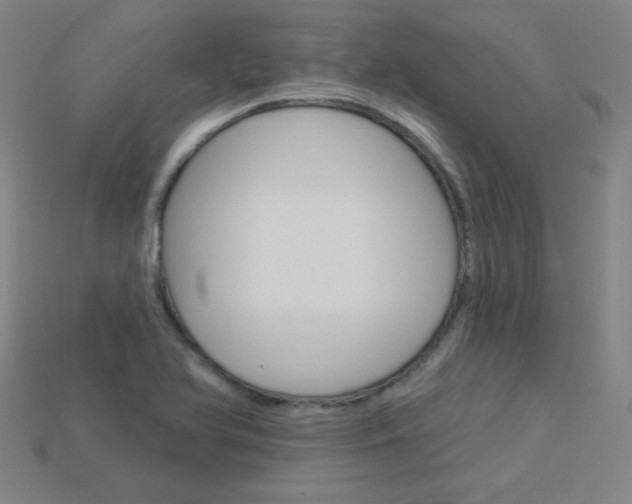 X0000114001366200910021022