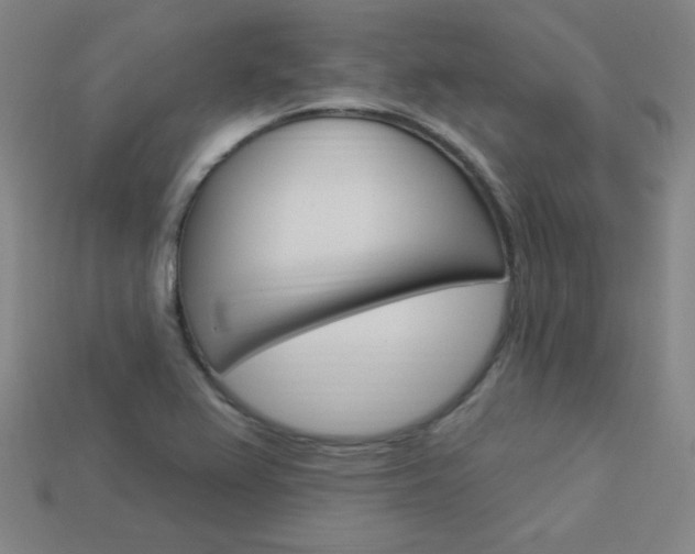 X0000114001367200910021022