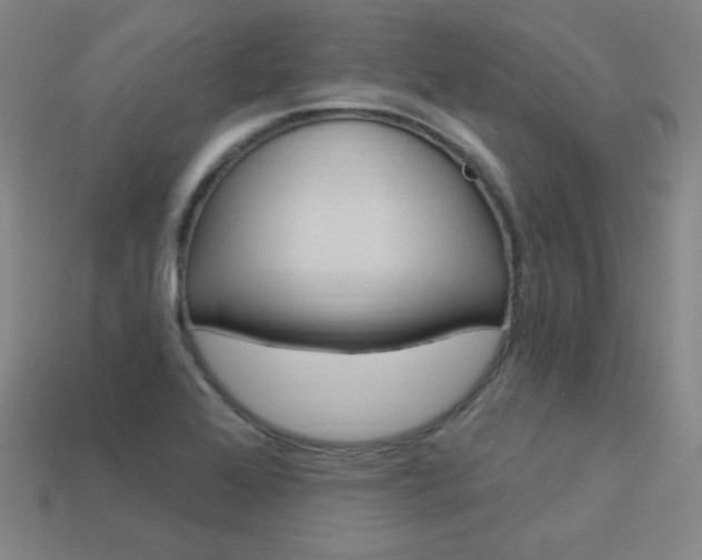 X0000114001368200910021022