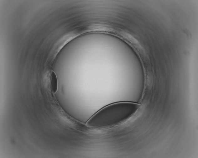 X0000114001369200910021022
