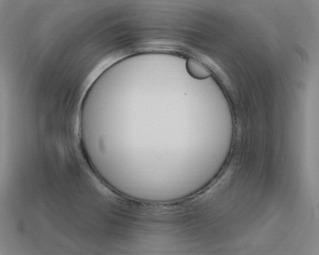 X0000114001370200910021022