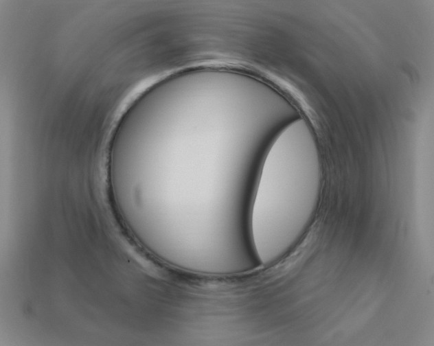 X0000114001375200910021022