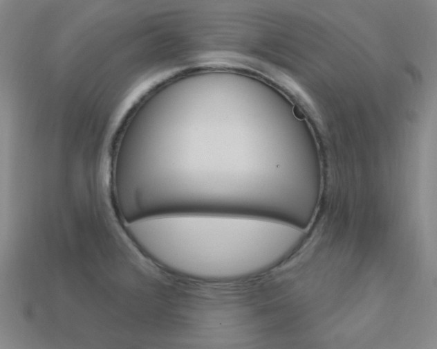 X0000114001376200910021022