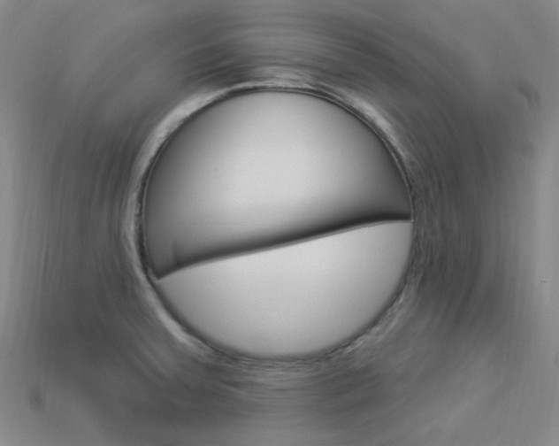 X0000114001379200910021022