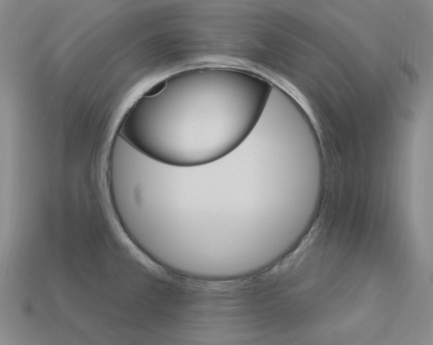 X0000114001381200910021022