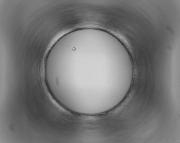 X0000114001382200910021021