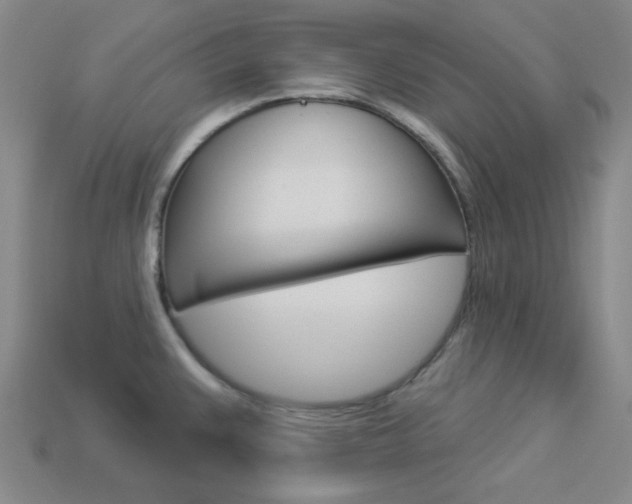 X0000114001383200910021021