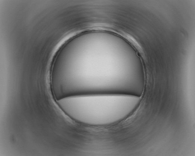 X0000114001384200910021021