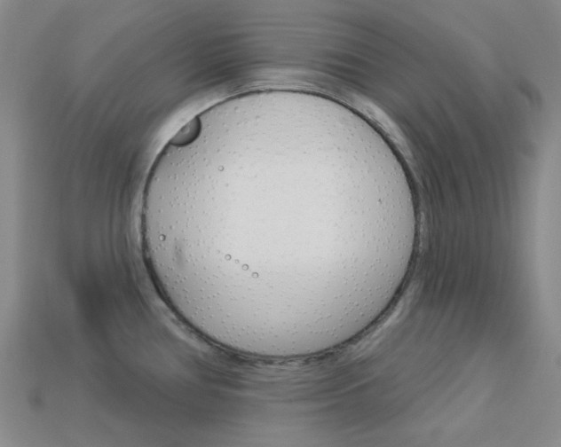 X0000114001386200910021021