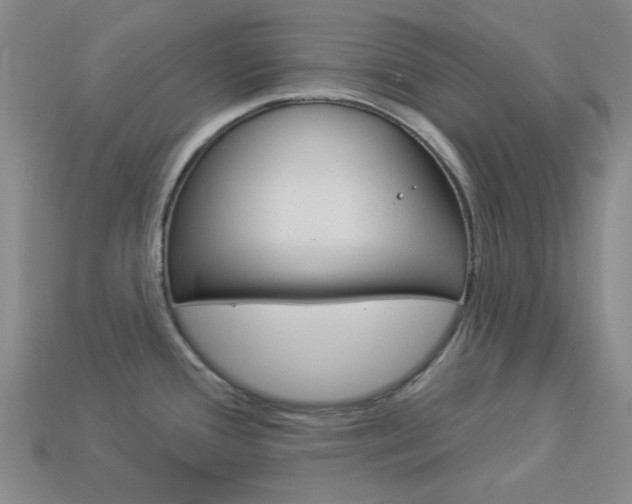 X0000114001388200910021021