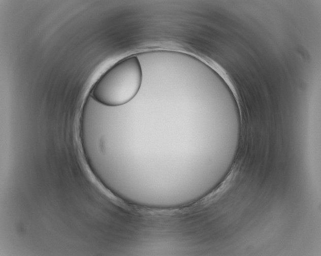 X0000114001389200910021021