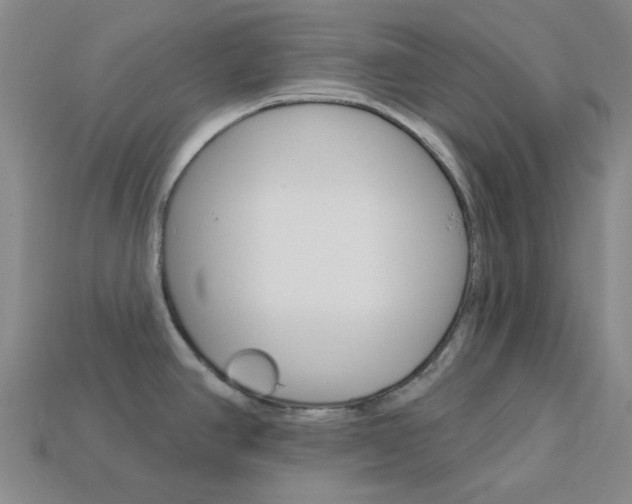X0000114001390200910021021