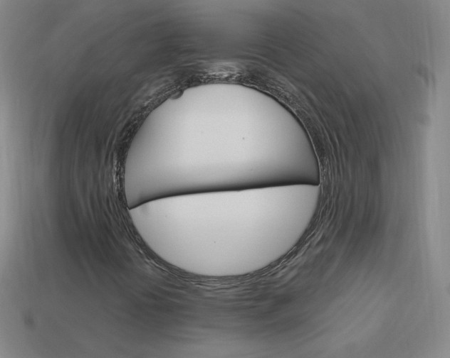 X0000114001394200910021021