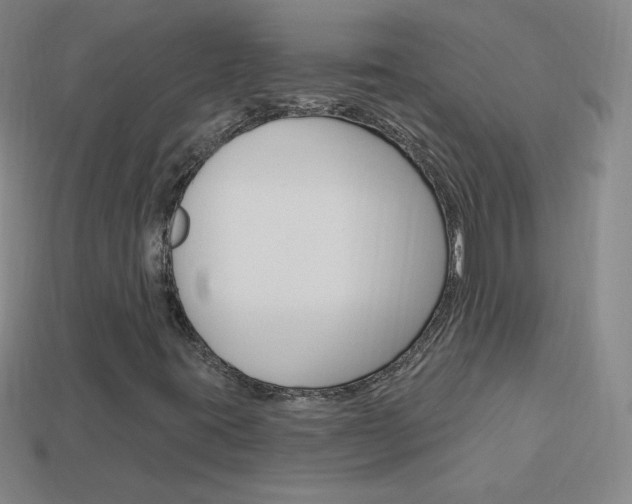 X0000114001395200910021021
