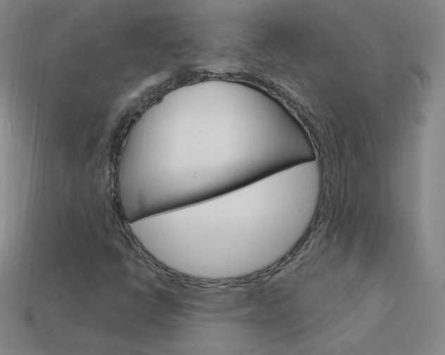 X0000114001398200910021021