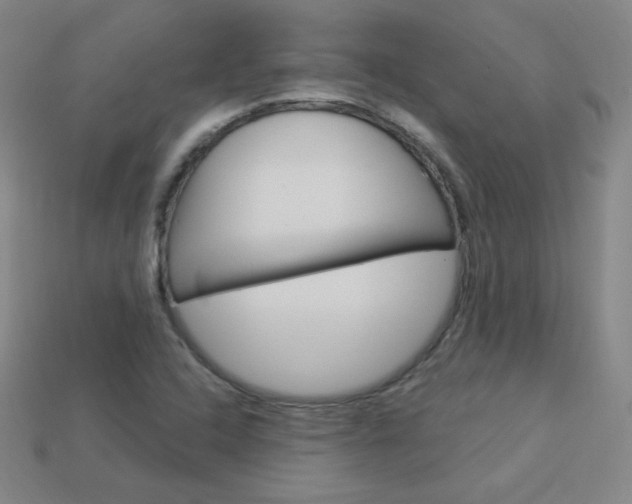 X0000114001408200910021021