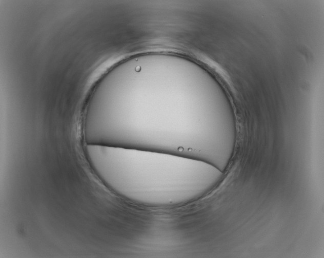 X0000114001415200910021021