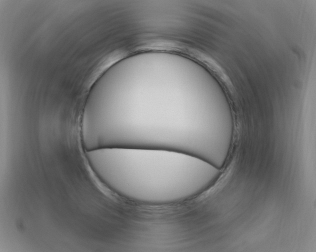 X0000114001425200910021021