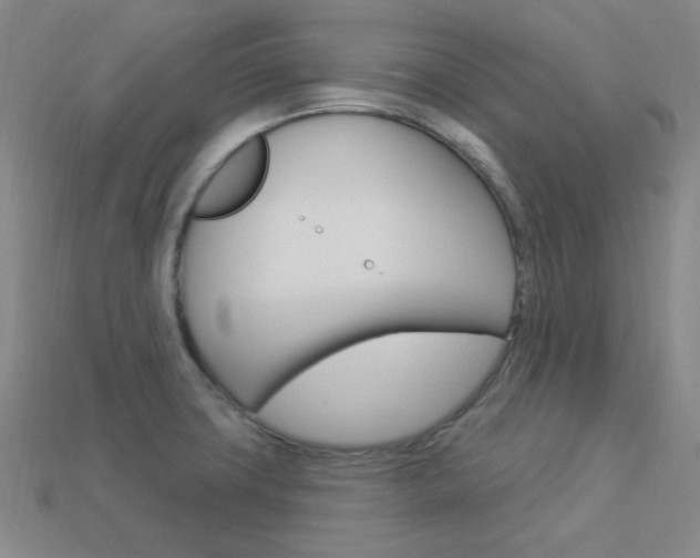 X0000114001427200910021021