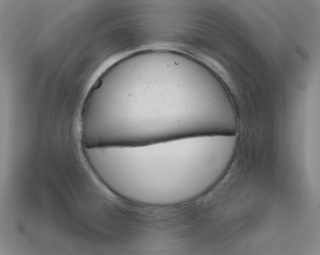 X0000114001428200910021021