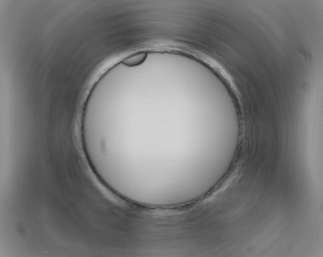 X0000114001429200910021021