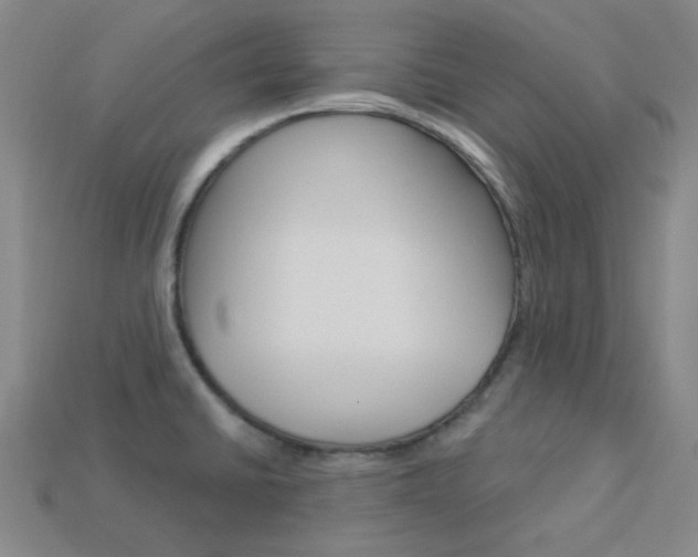 X0000114001430200910021021