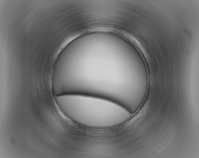 X0000114001433200910021021