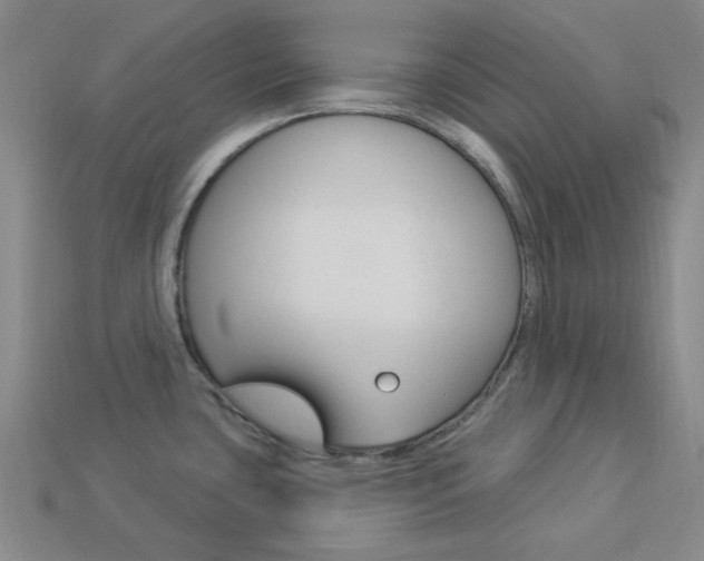 X0000114001435200910021021
