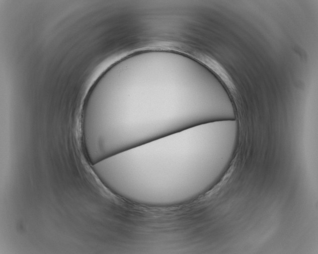 X0000114001436200910021021