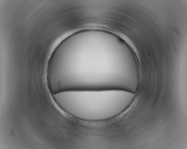 X0000114001437200910021021