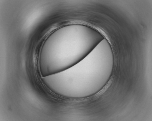 X0000114001438200910021021