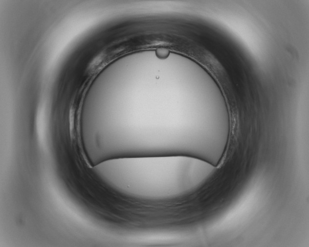 X0000114001439200910021021