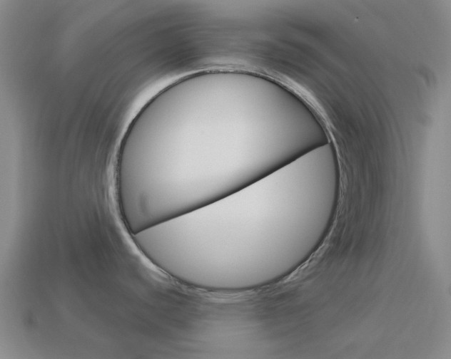 X0000114001440200910021021