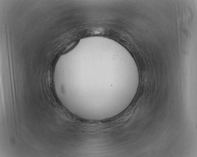 X0000114001442200910021021
