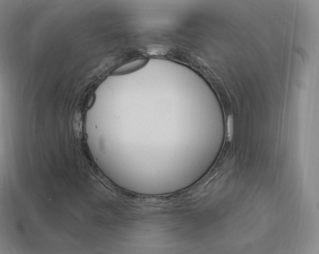 X0000114001443200910021021