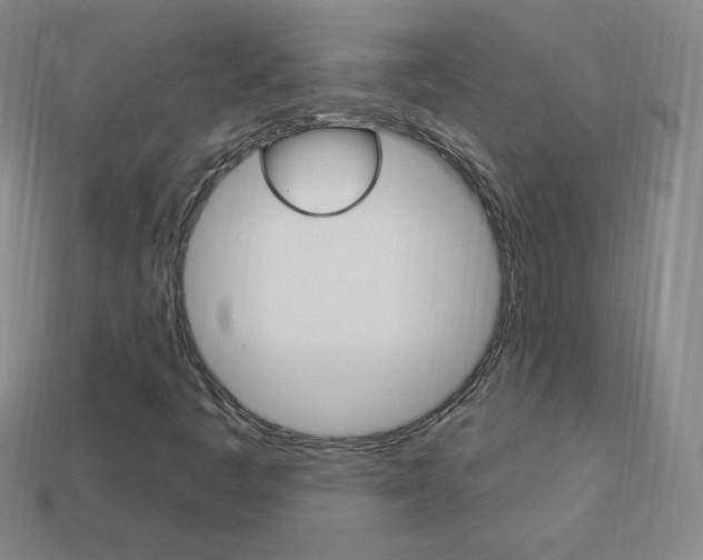 X0000114001445200910021021