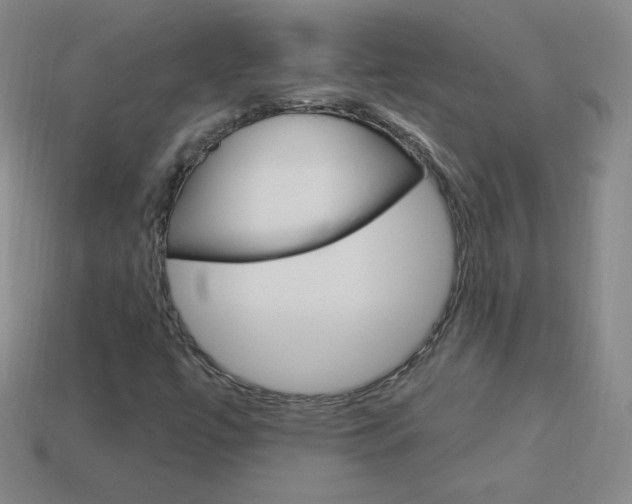X0000114001447200910021021