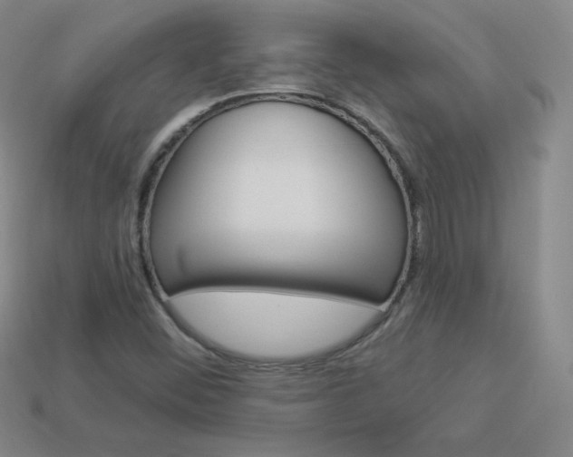X0000114001452200910021021