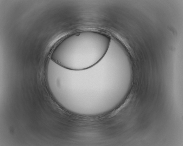 X0000114001453200910021021