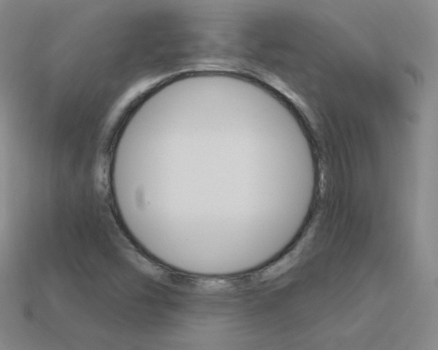 X0000114001454200910021021