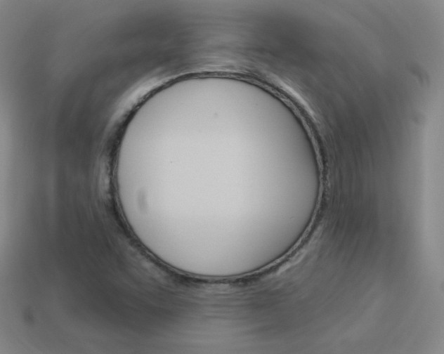 X0000114001455200910021021
