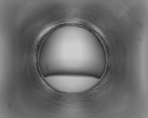 X0000114001456200910021021